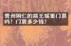 贵州铜仁的苗王城要门票吗？门票多少钱？