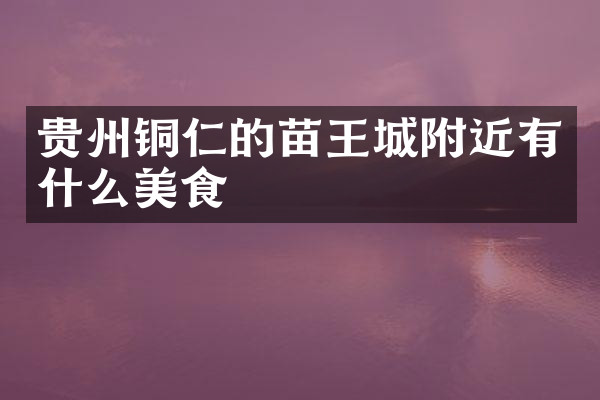 贵州铜仁的苗王城附近有什么美食