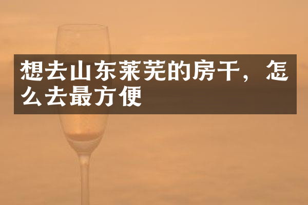 想去山东莱芜的房干，怎么去最方便