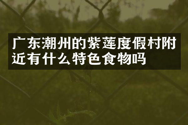 广东潮州的紫莲度假村附近有什么特色食物吗