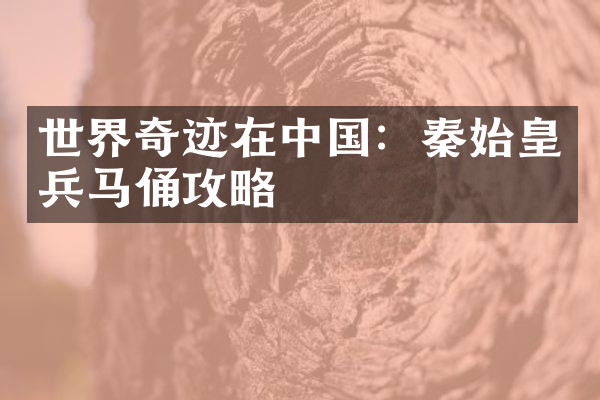 世界奇迹在中国：秦始皇兵马俑攻略