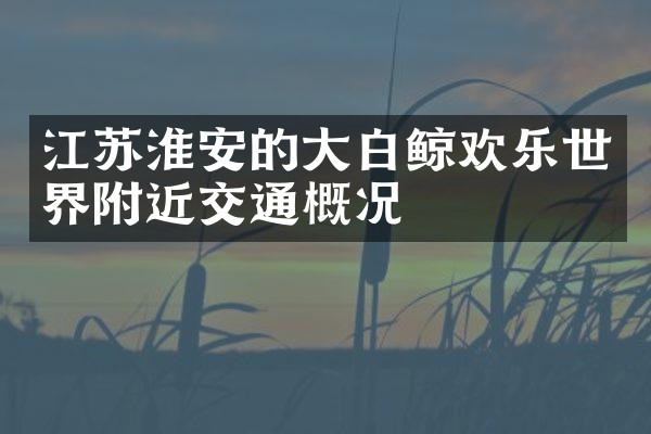 江苏淮安的大白鲸欢乐世界附近交通概况