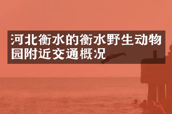 河北衡水的衡水野生动物园附近交通概况