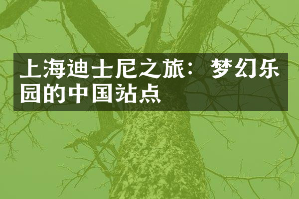 上海迪士尼之旅：梦幻乐园的中国站点
