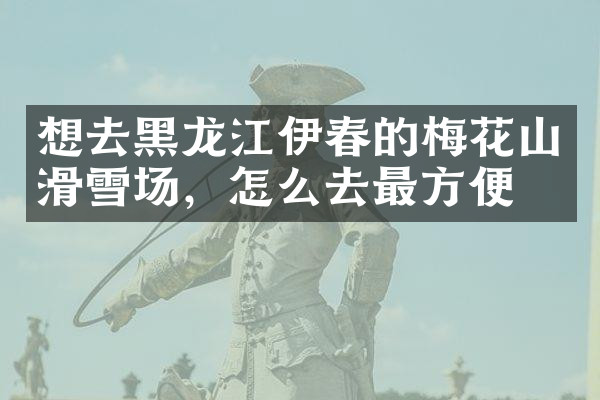 想去黑龙江伊春的梅花山滑雪场，怎么去最方便