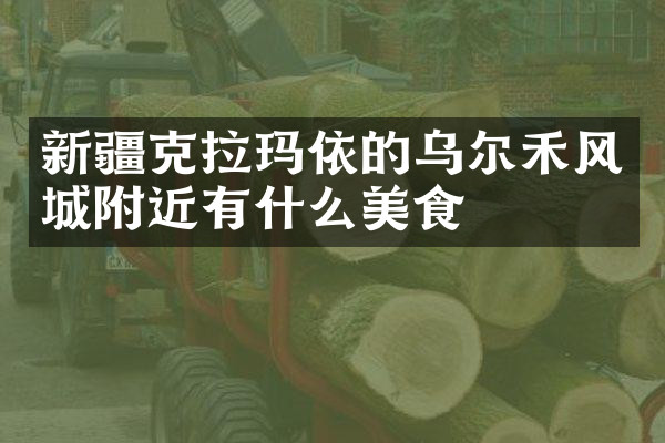 新疆克拉玛依的乌尔禾风城附近有什么美食