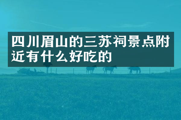 四川眉山的三苏祠景点附近有什么好吃的