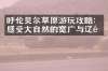 呼伦贝尔草原游玩攻略：感受大自然的宽广与辽阔