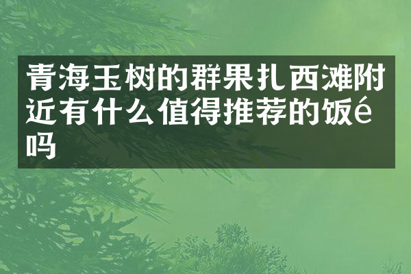 青海玉树的群果扎西滩附近有什么值得推荐的饭馆吗