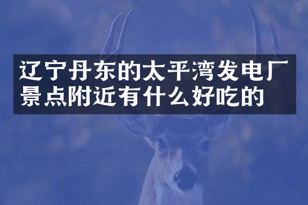辽宁丹东的太平湾发电厂景点附近有什么好吃的