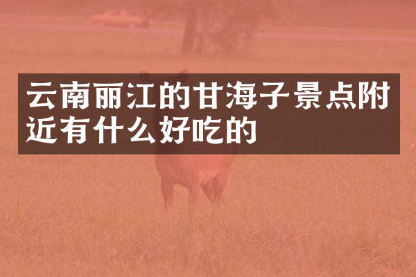 云南丽江的甘海子景点附近有什么好吃的