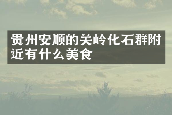 贵州安顺的关岭化石群附近有什么美食