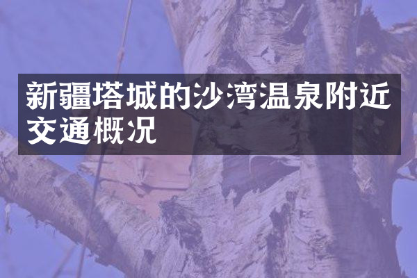 新疆塔城的沙湾温泉附近交通概况