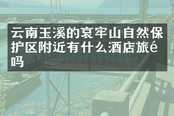 云南玉溪的哀牢山自然保护区附近有什么酒店旅馆吗