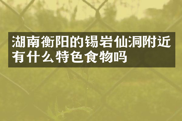湖南衡阳的锡岩仙洞附近有什么特色食物吗