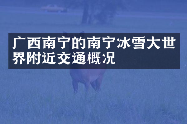 广西南宁的南宁冰雪大世界附近交通概况