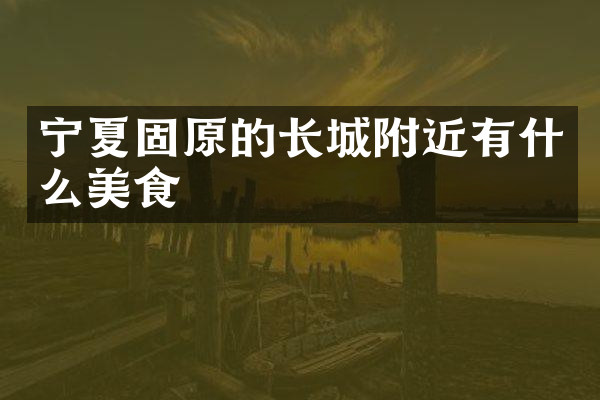 宁夏固原的长城附近有什么美食