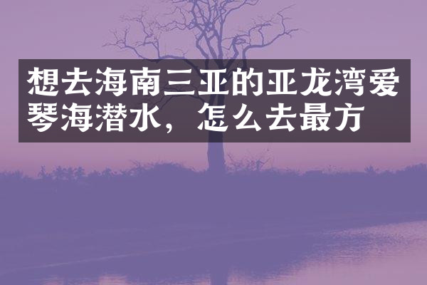 想去海南三亚的亚龙湾爱琴海潜水，怎么去最方便