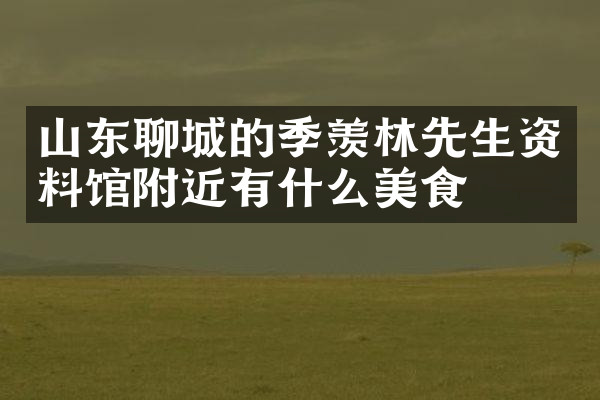 山东聊城的季羡林先生资料馆附近有什么美食