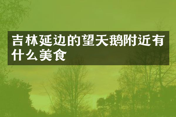 吉林延边的望天鹅附近有什么美食