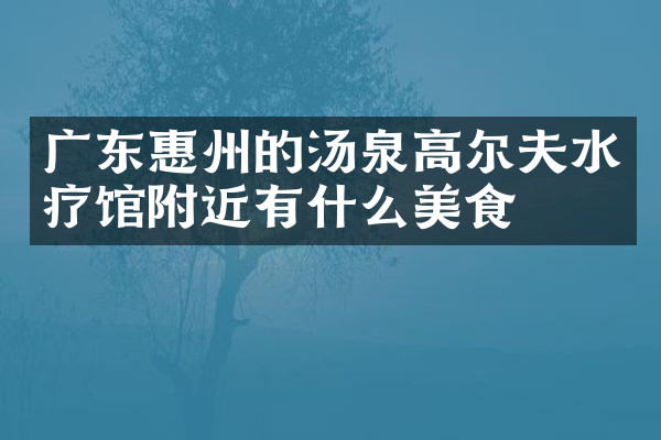广东惠州的汤泉高尔夫水疗馆附近有什么美食