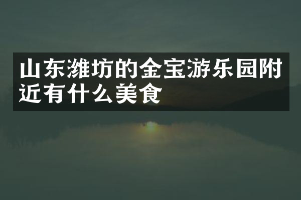 山东潍坊的金宝游乐园附近有什么美食