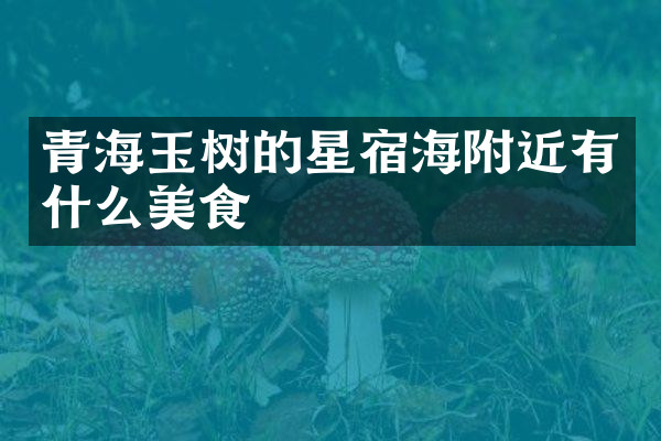 青海玉树的星宿海附近有什么美食