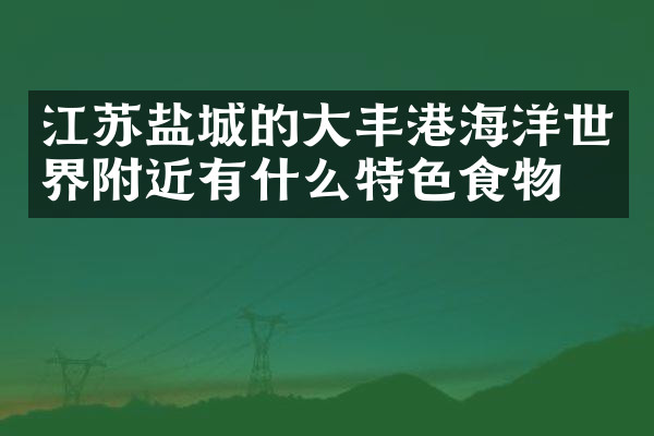 江苏盐城的大丰港海洋世界附近有什么特色食物吗
