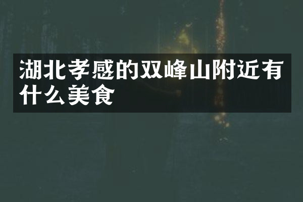 湖北孝感的双峰山附近有什么美食