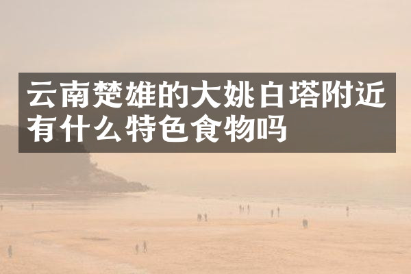 云南楚雄的大姚白塔附近有什么特色食物吗