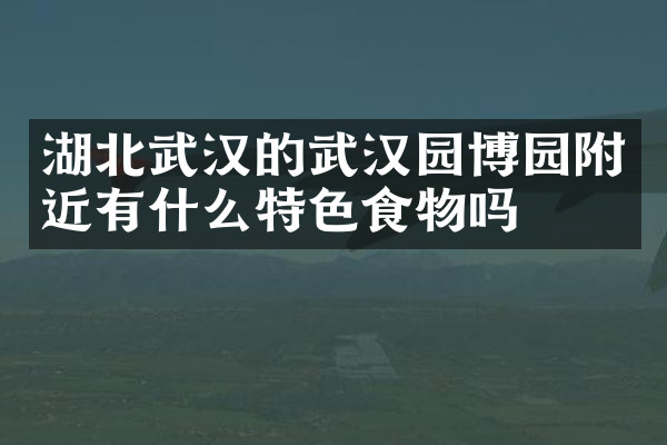 湖北武汉的武汉园博园附近有什么特色食物吗