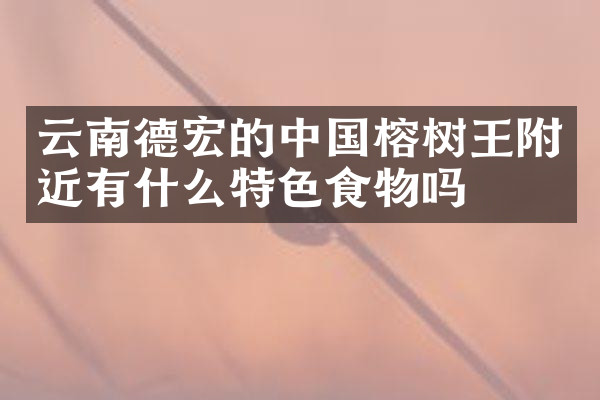 云南德宏的中国榕树王附近有什么特色食物吗