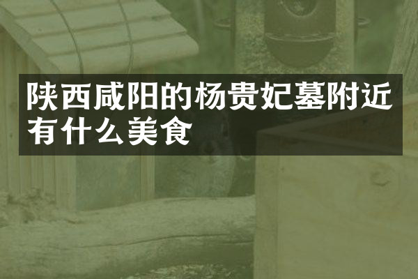 陕西咸阳的杨贵妃墓附近有什么美食
