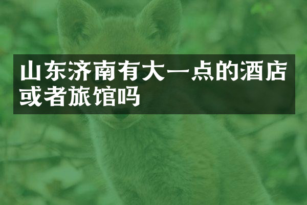 山东济南有大一点的酒店或者旅馆吗