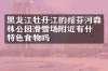 黑龙江牡丹江的绥芬河森林公园滑雪场附近有什么特色食物吗