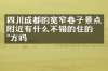 四川成都的宽窄巷子景点附近有什么不错的住的地方吗