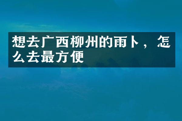 想去广西柳州的雨卜，怎么去最方便