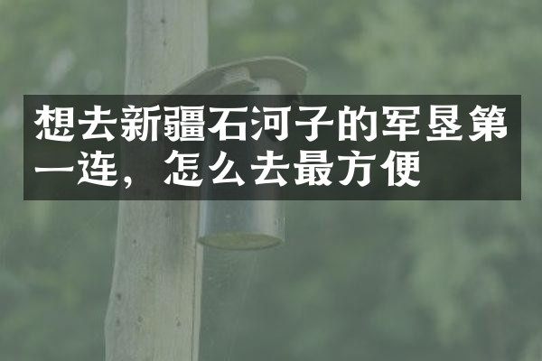 想去新疆石河子的军垦第一连，怎么去最方便