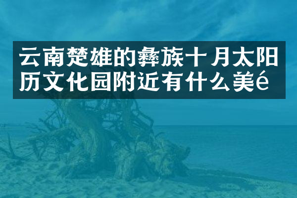 云南楚雄的彝族十月太阳历文化园附近有什么美食