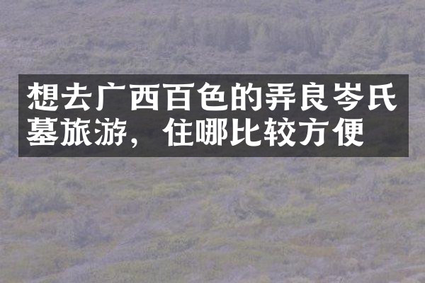 想去广西百色的弄良岑氏墓旅游，住哪比较方便