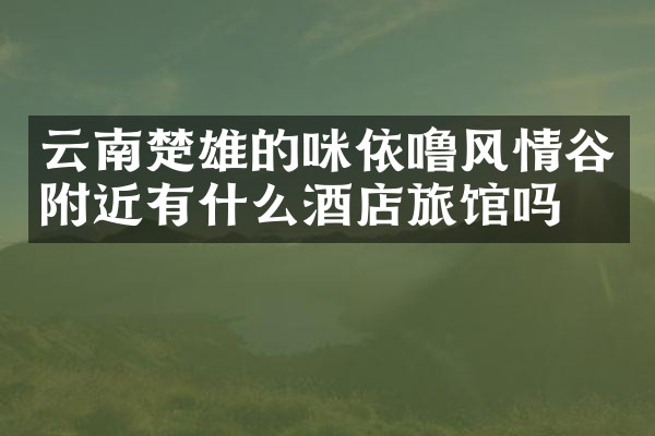 云南楚雄的咪依噜风情谷附近有什么酒店旅馆吗