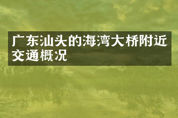 广东汕头的海湾大桥附近交通概况