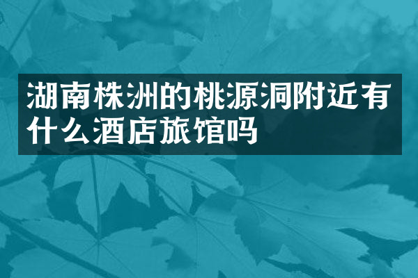 湖南株洲的桃源洞附近有什么酒店旅馆吗