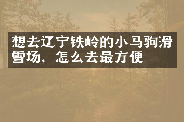 想去辽宁铁岭的小马驹滑雪场，怎么去最方便