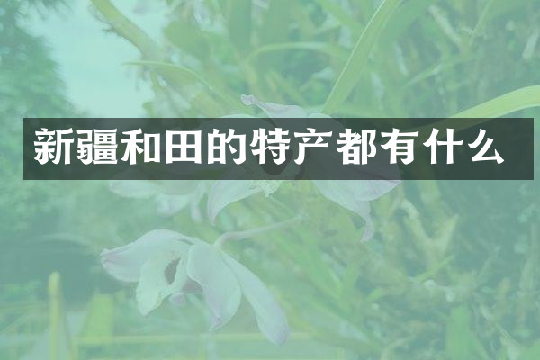 新疆和田的特产都有什么