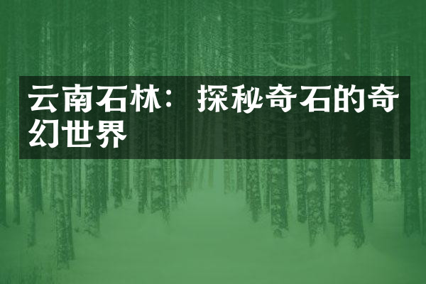 云南石林：探秘奇石的奇幻世界