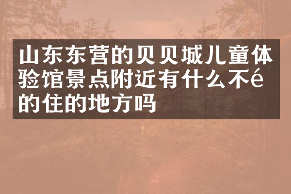 山东东营的贝贝城儿童体验馆景点附近有什么不错的住的地方吗