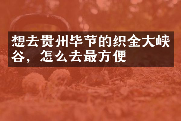 想去贵州毕节的织金大峡谷，怎么去最方便