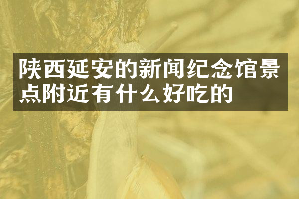 陕西延安的新闻纪念馆景点附近有什么好吃的