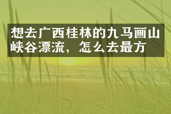 想去广西桂林的九马画山峡谷漂流，怎么去最方便